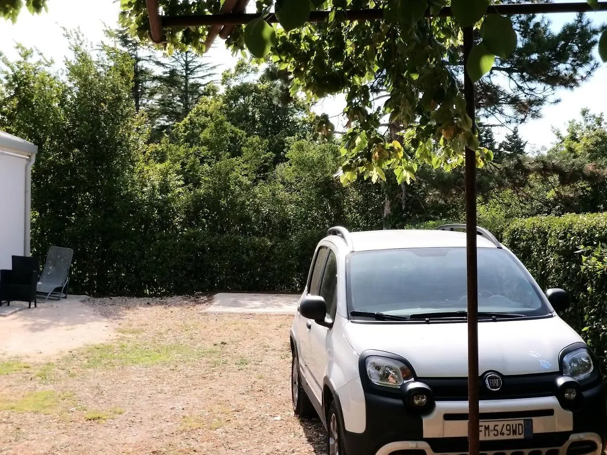 Campsite Manjsa Hisa Savudrija Alberi Zraven Petram Naselja Hotel Crveni Vrh