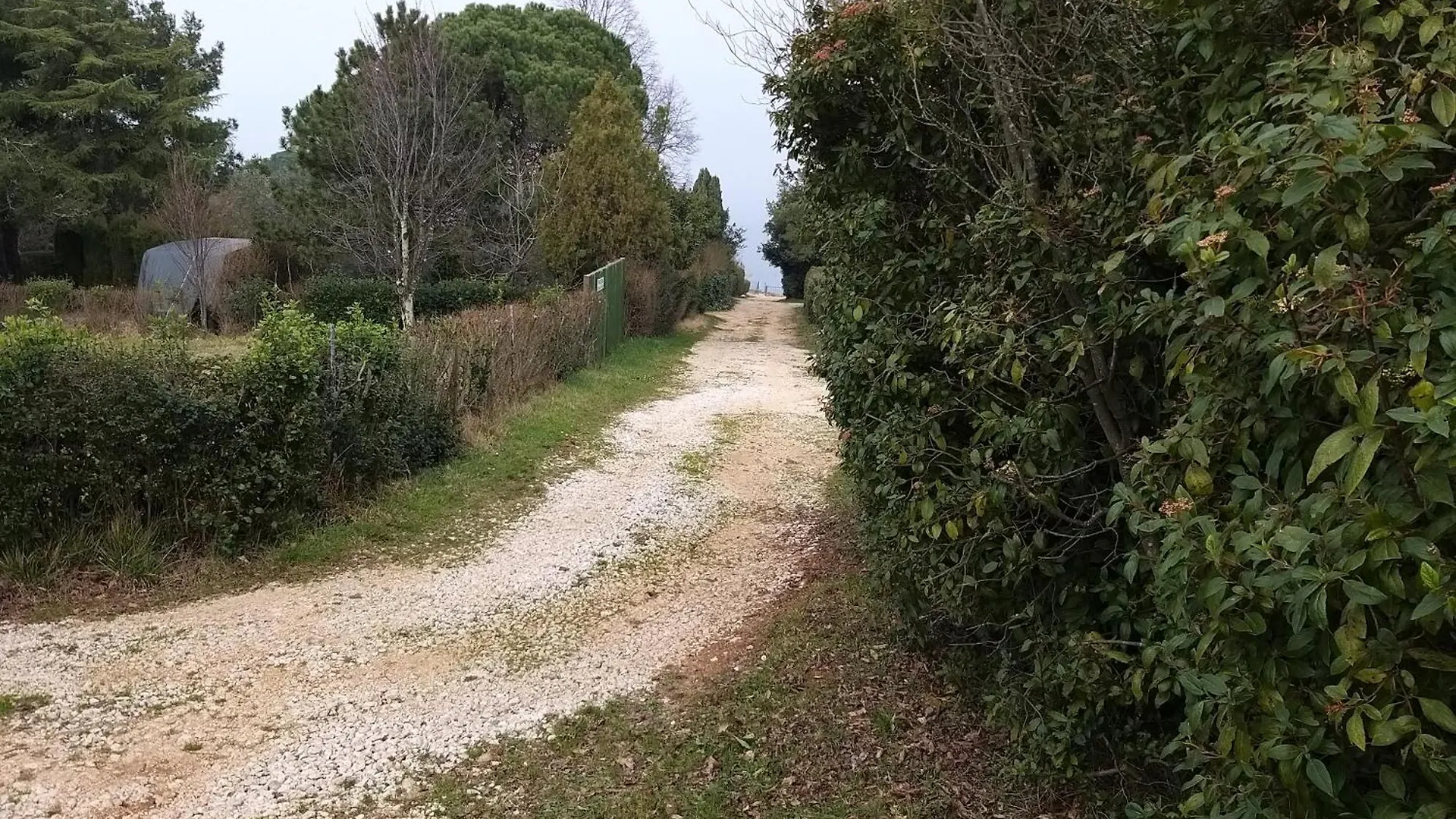 Savudrija Alberi Manjsa Hisa Zraven Kampinski Hotel Crveni Vrh Chorwacja